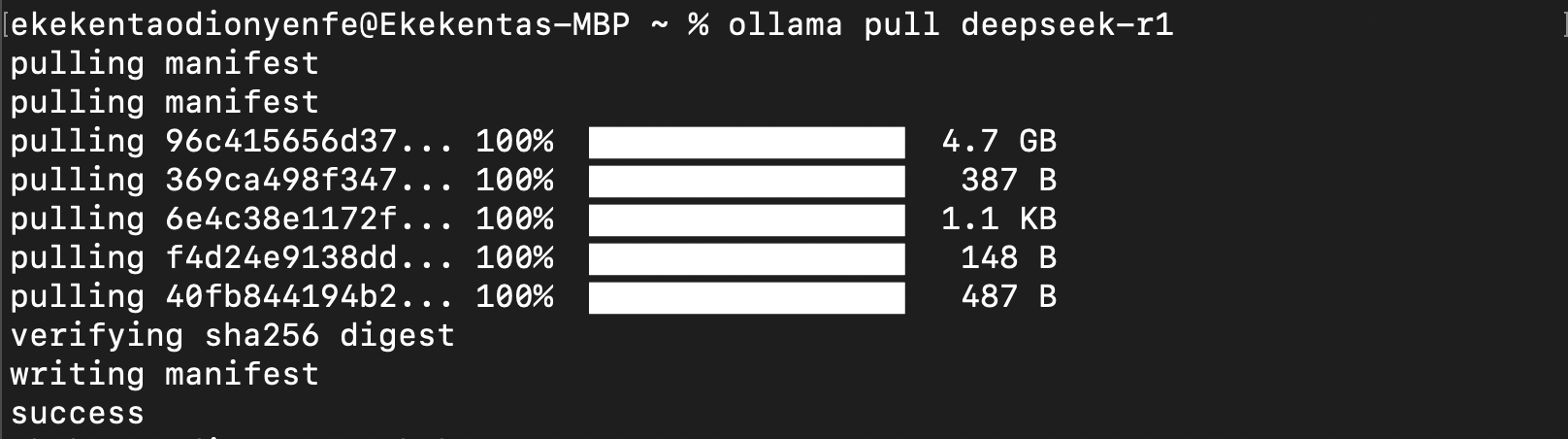 Installing Deepseek-r1 locally on your computer